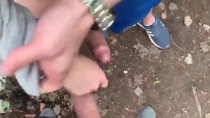 Cruise The Woods