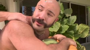 When Bears Attack