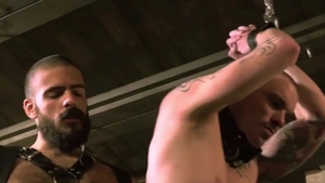 homo World Berlin Leather - Leather large Wolf Vs Axl black Part 1