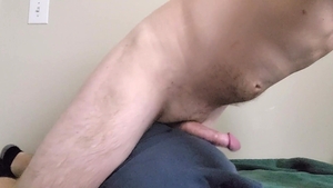 Stonks Pillow Humping