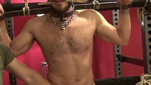 thraldom Haircut And cook jerking