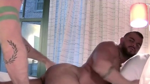 Three-some De Ositos