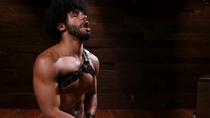 A Kink To Punish Him & Make Him My Own B!tch