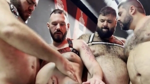 Bear orgy