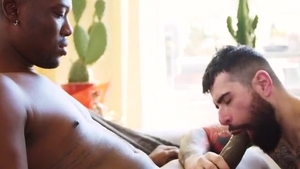 GayHub24.com - enormous shlong Alert