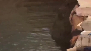 CHINESE MUSCLE DADDY undressed SWIMMING AT LAKE 03