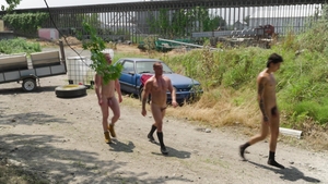Falcon Studios: Barnyard Banter and Bonking, Oh My!