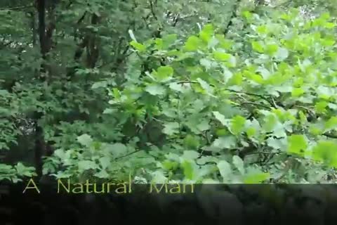 shooting gallery Vol. 1