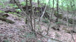 jockbreeders: Bromance Takes a Fucky Turn in Forests