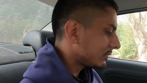 Dick Rides: Car-Crashing Conquests of Carnal Kinks