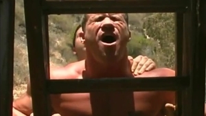 Muscle Compilations 10