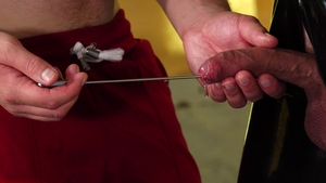 Intense Edging with Sparkle's Tool