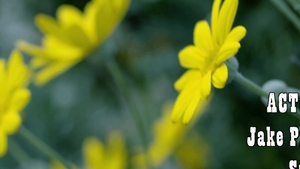 Cock Sucking in the Outdoors