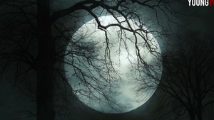 Halloween Treat: Bondage Adventure with Cultist