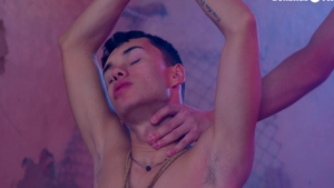 Toys and Twinks Forever