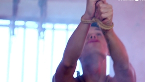 Toys and Twinks Forever