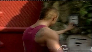 Falcon Studios: Incessant and Fierce Strokes