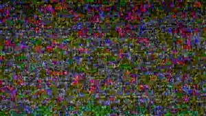 Falcon Studios: Craig Devours Todd's Rigid Prick