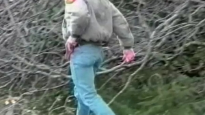 Falcon Studios: Hairy Jocks: Hard Lessons