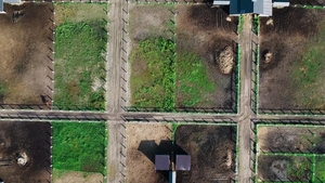 Men: Austin's Secret, Barnyard Banging