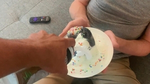 Milo Meets His Match