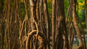 Men: Exploring New Depths with Luke's Hard Cock