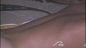 Falcon Studios: Sunny Delights in the Backyard