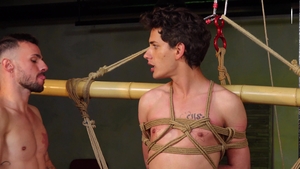 Harnessed Tyler's Climactic Struggle