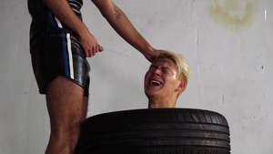 Galiel Swan Clamped in Every Hole