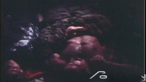 Falcon Studios: Campfire Frenzy