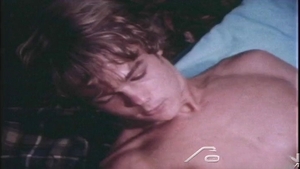 Falcon Studios: Campfire Frenzy