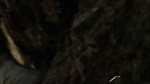 Falcon Studios: Robert's Hose for Tyler's Hole