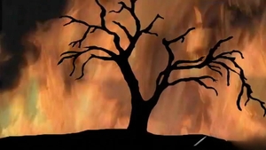 Falcon Studios: Ryann Wood: Stranded, Fucked, and Satisfied