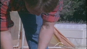 Falcon Studios: Uncharted Territory