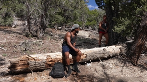 DownLow Boys: Exploring Nature...and Each Other