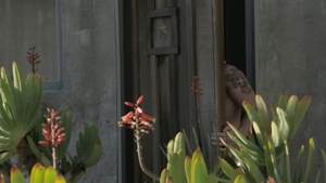 Next Door Male: Waves of Ecstasy: A Surfer's Solo Journey