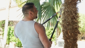 DownLow Boys: Hoeing Down for Fame's Fortune