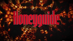 Disruptive Films: Breaking Free from the Chains of Society