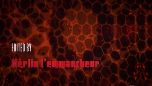 Disruptive Films: Smooth and Sultry Bareback Action