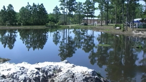 Bear Films: Good Boy Sid Delivers Jake's Daily Dose