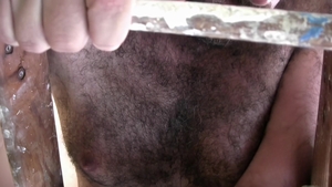 Bear Films: Gunner and the Hairy Bear Frenzy