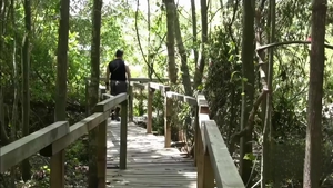 Bear Meets Power: A Camping Adventure