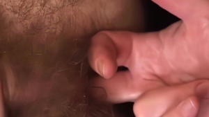 Bear Films: Two Bears, One Twisted Adventure