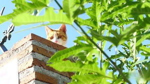 Daddy On Twink: Surrendering to Forbidden Desires