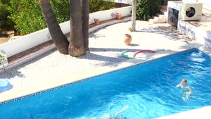 Southern Strokes: Daniel's Deep Dive