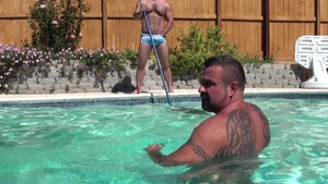 Bear Films: Swimming Together in Sin