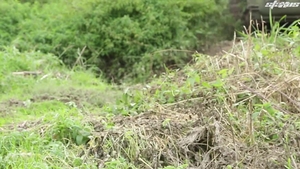 Uncut Cocks and Twinks (18+) Get Naughty