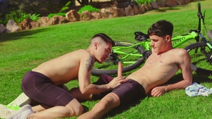 Woodland Rides, Wild Nights