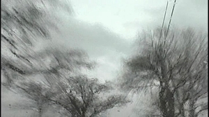 Huge Cock Invades Tight Ass Of Pale-Skinned Bob