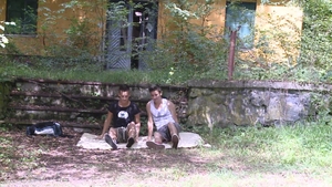 Into the Woods with Intentions